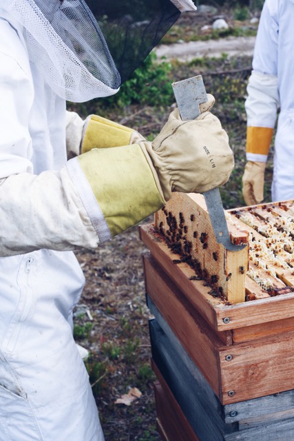 beekeeper and beehive